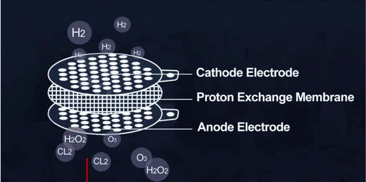Demystifying-PEM-Membranes-in-Hydrogen-Water Healthy Hydration EU